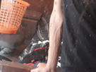 https://image.noelshack.com/fichiers/2019/39/5/1569575082-20190909-122456.jpg
