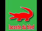 https://image.noelshack.com/fichiers/2019/39/5/1569600625-1869907211-1.jpg