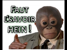 https://image.noelshack.com/fichiers/2019/39/6/1569673739-img-20190928-142735.png