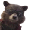 https://image.noelshack.com/fichiers/2019/40/1/1569827943-rocket-racoon.png