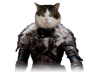 https://image.noelshack.com/fichiers/2019/40/3/1569969456-1500393145-dark-souls-ii-warrior.png