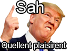 https://image.noelshack.com/fichiers/2019/40/3/1570026245-trump-sah-quellent-plaisirent.png