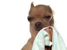 https://image.noelshack.com/fichiers/2019/40/4/1570117074-83439-full.png