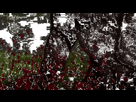 https://image.noelshack.com/fichiers/2019/40/6/1570277571-cgserk7.gif
