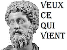 https://image.noelshack.com/fichiers/2019/41/2/1570569701-epcitete-statue-veux-ce-qui-vient.jpg