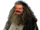 https://image.noelshack.com/fichiers/2019/41/5/1570824973-hagrid.png