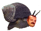 https://image.noelshack.com/fichiers/2019/41/6/1570887004-bigorno-risitas.png