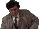 https://image.noelshack.com/fichiers/2019/41/6/1570903051-columbo4.png