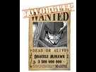 https://image.noelshack.com/fichiers/2019/42/2/1571092402-prime-mihawk.png