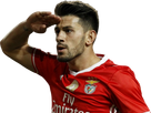 https://image.noelshack.com/fichiers/2019/42/2/1571162057-pizzibenfica.png