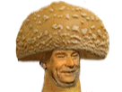 https://image.noelshack.com/minis/2019/42/4/1571292594-champignon.png