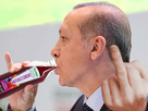 https://image.noelshack.com/fichiers/2019/42/4/1571341847-erdogan3.png