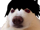 https://image.noelshack.com/fichiers/2019/42/7/1571560672-chien-sasuke.png