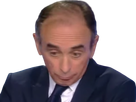 https://image.noelshack.com/fichiers/2019/43/3/1571841939-zemmour-tete-basse.png