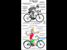 https://image.noelshack.com/fichiers/2019/43/4/1571882614-1503580876797.png