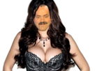 https://image.noelshack.com/fichiers/2019/43/6/1572043965-1494862723-risiboobs2.png