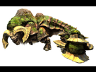 https://image.noelshack.com/fichiers/2019/43/6/1572105380-mhgen-duramboros-render-001.jpg