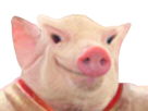 https://image.noelshack.com/fichiers/2019/43/7/1572167647-extra.png