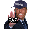 https://image.noelshack.com/fichiers/2019/44/1/1572261294-fumikage-paz.png