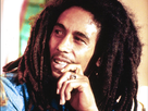 https://image.noelshack.com/fichiers/2019/44/1/1572277554-bob-marley-picto-7954.jpg