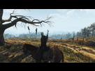 https://image.noelshack.com/fichiers/2019/44/1/1572284064-witcher3-2019-10-28-18-10-29.jpg