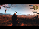 https://image.noelshack.com/fichiers/2019/44/1/1572284064-witcher3-2019-10-28-18-14-01.jpg