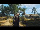 https://image.noelshack.com/fichiers/2019/44/1/1572284149-witcher3-2019-10-28-18-25-26.jpg