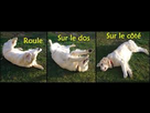 https://image.noelshack.com/fichiers/2019/44/5/1572605225-images-2019-10-30t230557-389.jpg