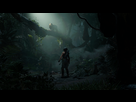 https://image.noelshack.com/fichiers/2019/44/5/1572621414-shadow-of-the-tomb-raider-5.png