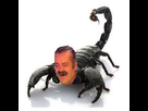 https://image.noelshack.com/fichiers/2019/44/5/1572621504-images-2019-10-29t194453-849.jpg