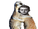 https://image.noelshack.com/fichiers/2019/44/7/1572813324-1492381018-suricaldepls.png
