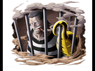 https://image.noelshack.com/fichiers/2019/45/1/1572890826-croco-7.png