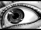 https://image.noelshack.com/fichiers/2019/45/4/1573153010-img-20191107-195626.jpg
