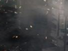 https://image.noelshack.com/fichiers/2019/45/5/1573239155-14-6yen9lr3.png