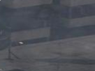 https://image.noelshack.com/fichiers/2019/45/5/1573239156-16-6yen9lr3.png