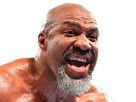 https://image.noelshack.com/fichiers/2019/45/7/1573365275-shannon-briggs.png