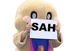 https://image.noelshack.com/fichiers/2019/45/7/1573383315-placecequetuveux-original-sah-edition.png
