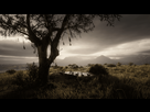 https://image.noelshack.com/fichiers/2019/46/6/1573860735-red-dead-redemption-ii-screenshot-2019-11-16-00-30-10-18.png