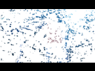 https://image.noelshack.com/fichiers/2019/46/7/1574005924-1465649825-3e6b39cebf94f553cdbdfd07288999f4.gif
