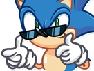 https://image.noelshack.com/fichiers/2019/47/1/1574060613-sonic-34.png