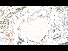 https://image.noelshack.com/fichiers/2019/47/1/1574099540-fc7fb618b19918ae984c3a280e7d52e4.gif