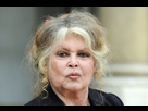 https://image.noelshack.com/fichiers/2019/47/2/1574184831-7797254212-brigitte-bardot-dans-la-cour-de-l-elysee-en-septembre-2017.jpg