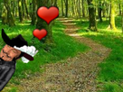 https://image.noelshack.com/fichiers/2019/47/3/1574283887-foret9.png