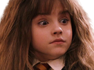 https://image.noelshack.com/fichiers/2019/47/3/1574284042-1570104231-hermione-la-perquisition.png