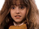 https://image.noelshack.com/fichiers/2019/47/4/1574340642-1570104227-hermione-choque-par-la-photo-de-l-auteur.png