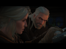 https://www.noelshack.com/2019-47-5-1574413006-the-witcher-3-screenshot-2019-09-08-20-20-47-90.png