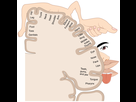 https://image.noelshack.com/minis/2019/47/5/1574423359-1421-sensory-homunculus.png
