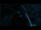 https://image.noelshack.com/fichiers/2019/47/7/1574614426-capture-d-ecran-2019-11-24-a-17-21-15.jpg