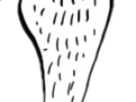 https://image.noelshack.com/fichiers/2019/48/1/1574677326-23-yiqkj42a.png