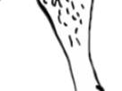 https://image.noelshack.com/fichiers/2019/48/1/1574677326-26-yiqkj42a.png
